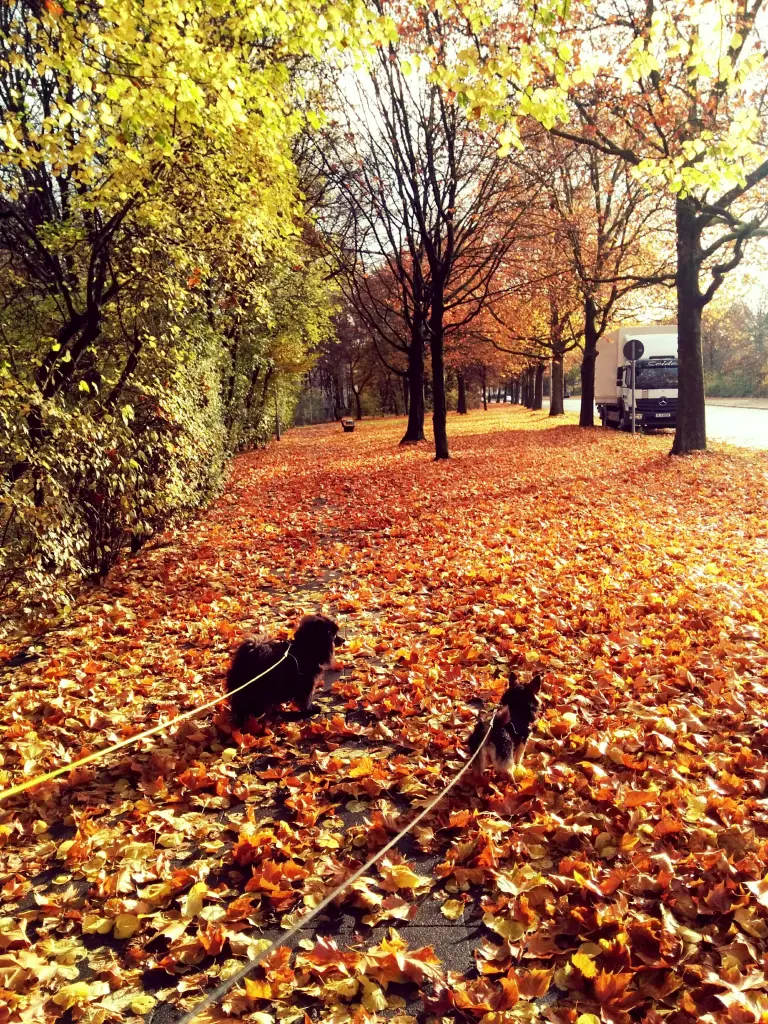 Condolence image of Bincy 