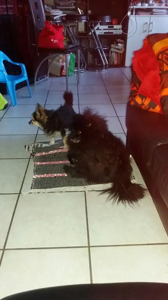 Condolence image of B. K.