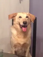 Condolence image of Nicole 