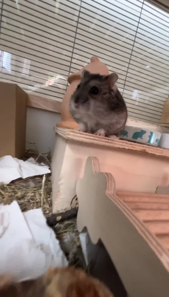 Andachtsbild von Milla with Murphy in her Heart ♥️