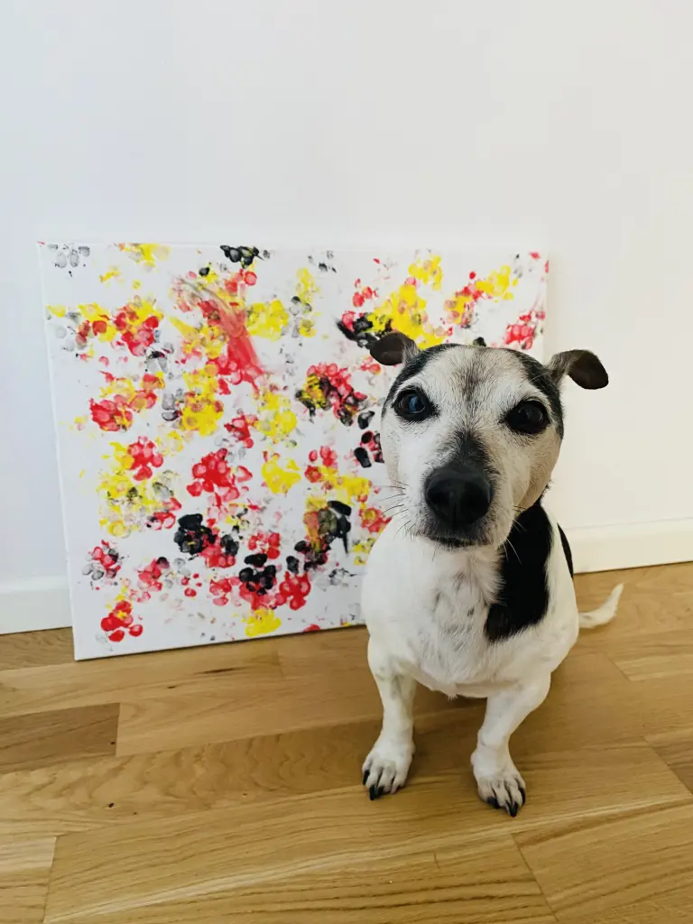 Bild von Prinz Fame Anis