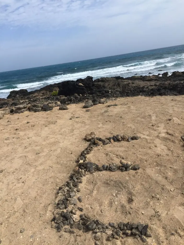 Condolence image of Diana