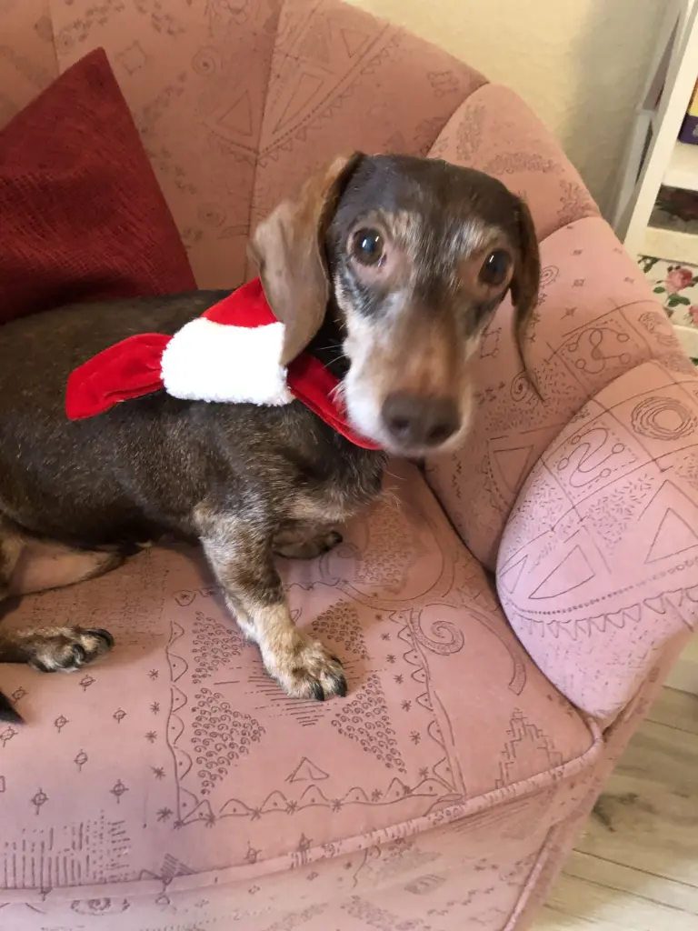 Andachtsbild von Edeltraud 