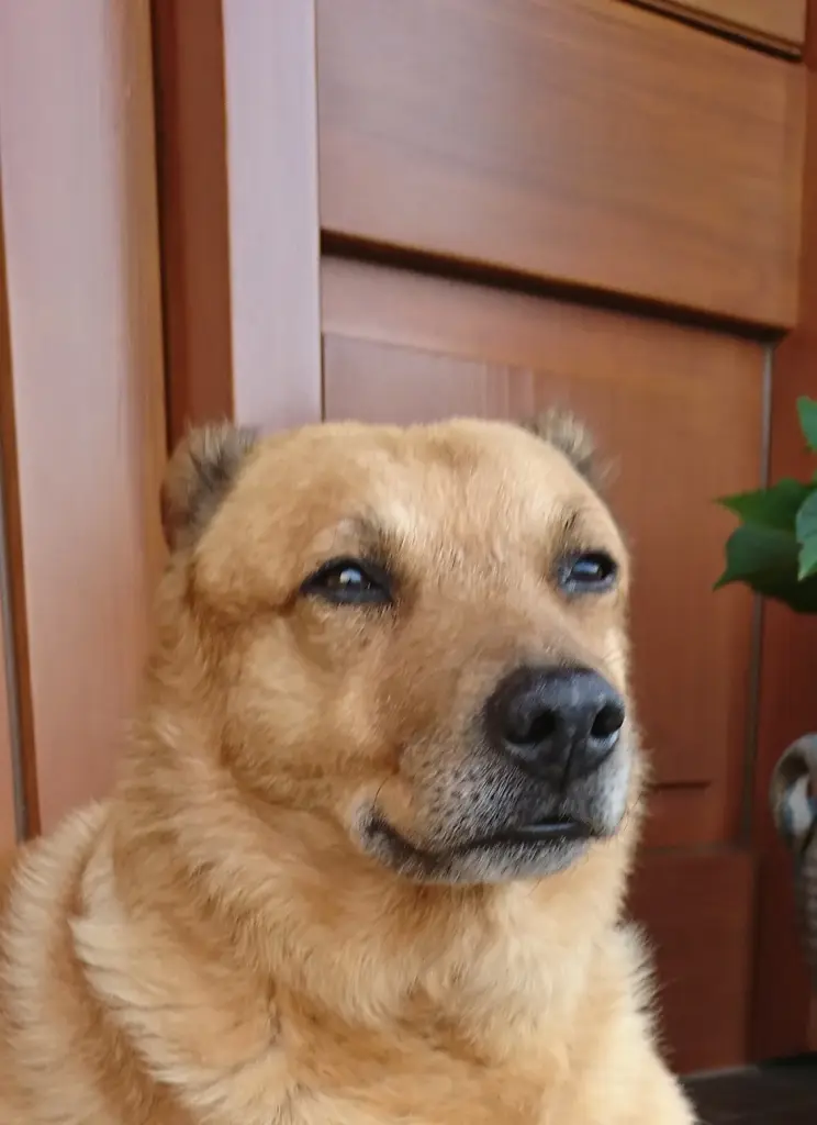 Bild von Lucky