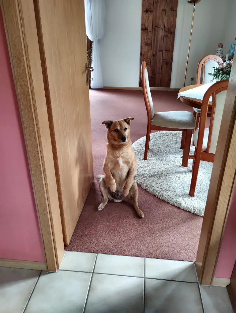 Bild von Lucky