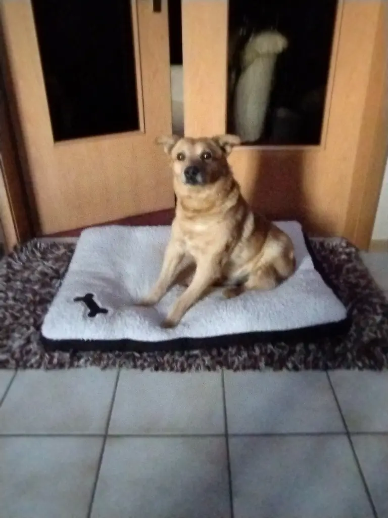 Bild von Lucky