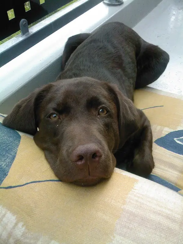 Condolence image of Michelle