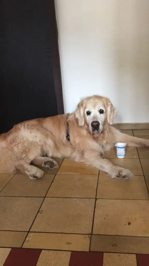 Condolence image of Diana