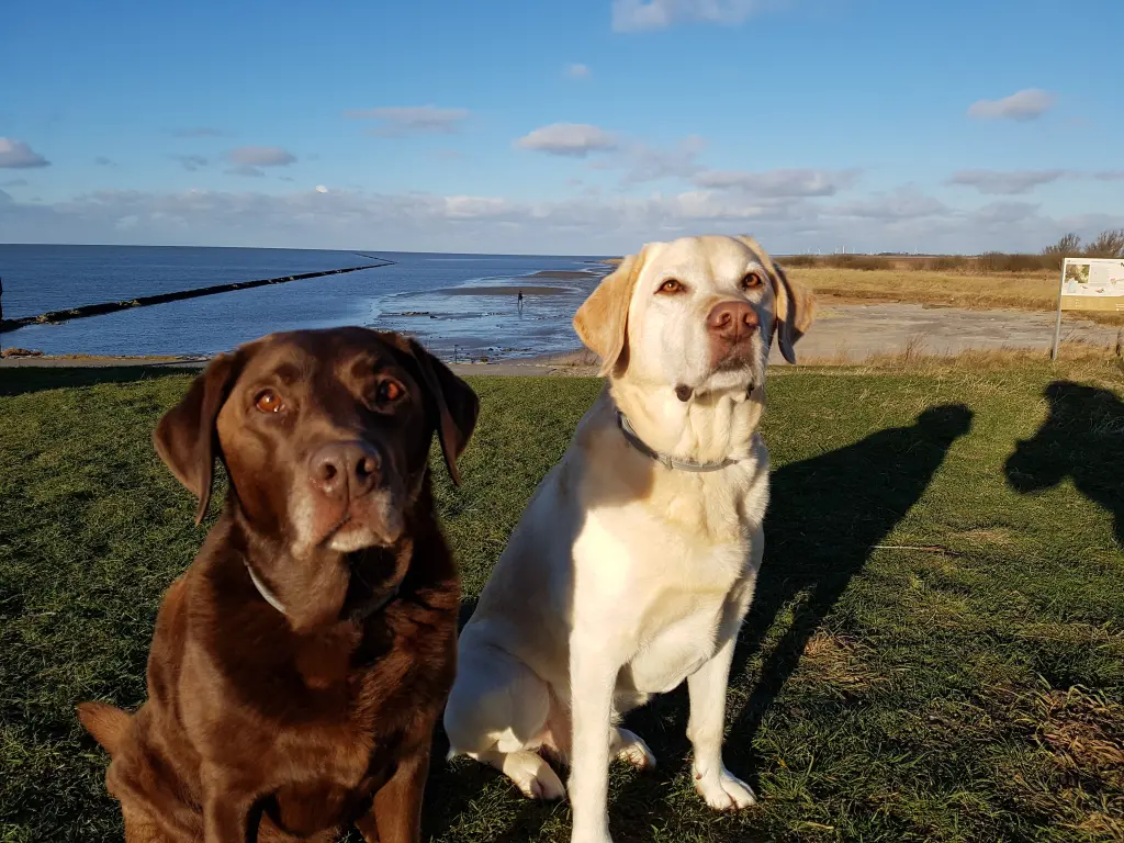 Condolence image of Elisabeth m. Paul u. Mona tief im Herzen