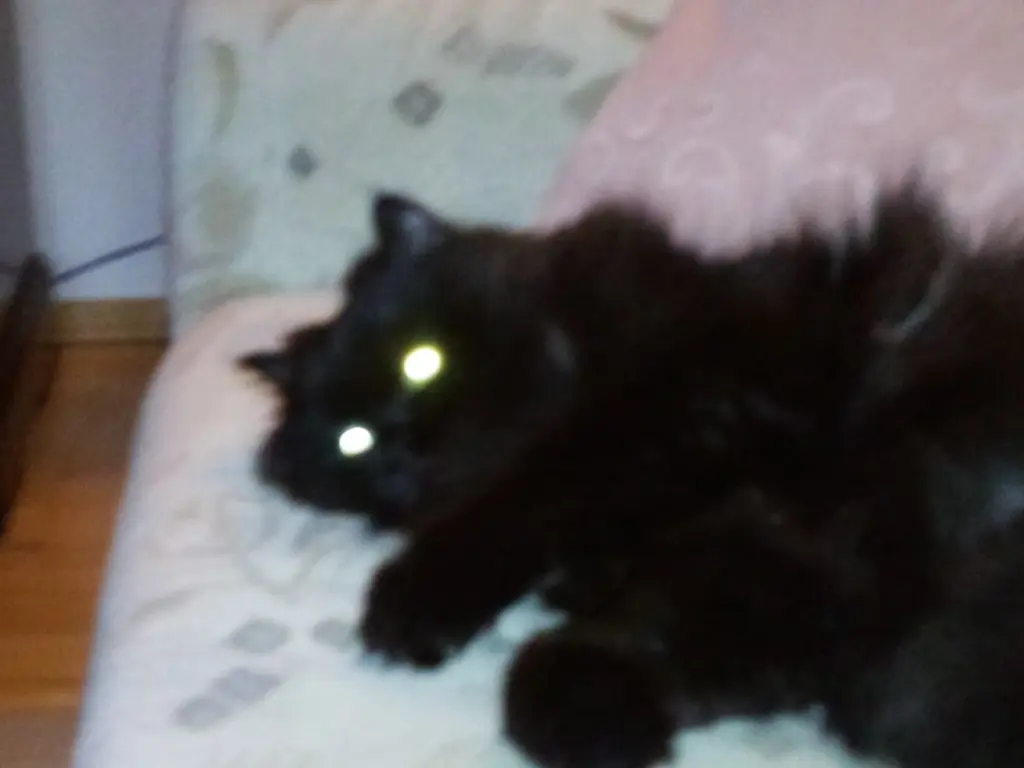 Condolence image of Wolfgang Belinr