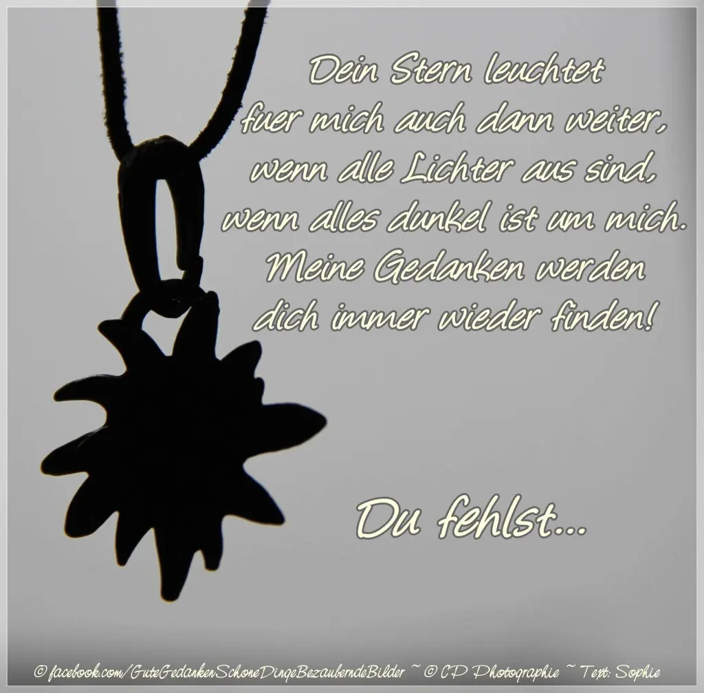 Condolence image of Linda mit Kater Pünktchen im Herzen 