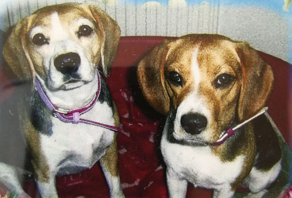 Condolence image of Ulrike