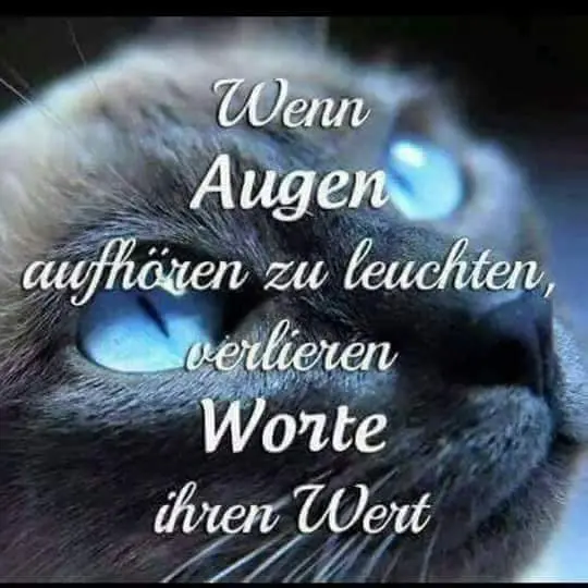 Condolence image of Jessica