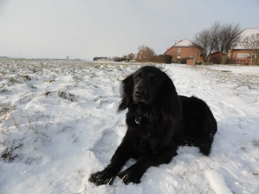 Condolence image of I.