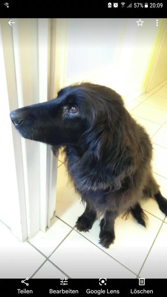 Condolence image of Natalie