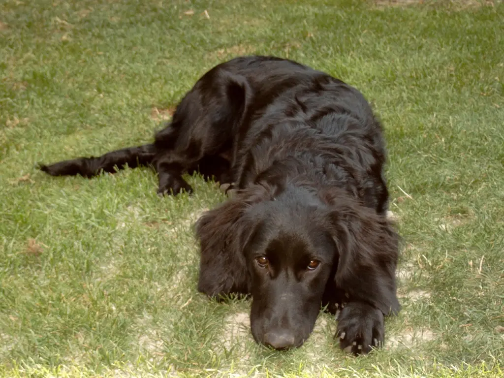 Condolence image of I.