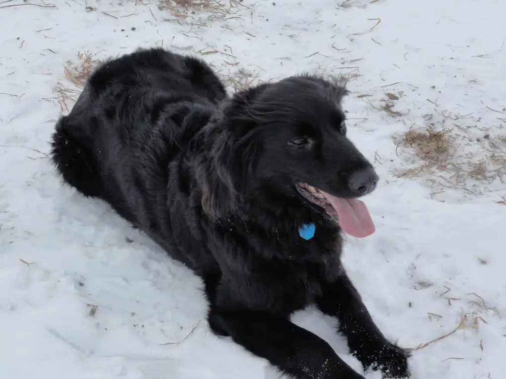 Condolence image of Unbekannt