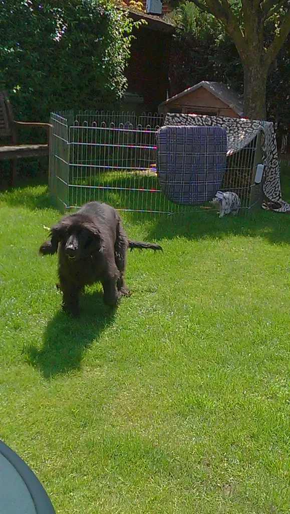 Condolence image of I.