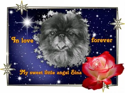 Image from mein Engelchen Sina