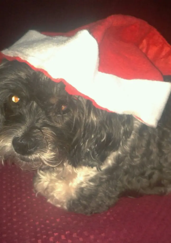 Condolence image of Sigrid