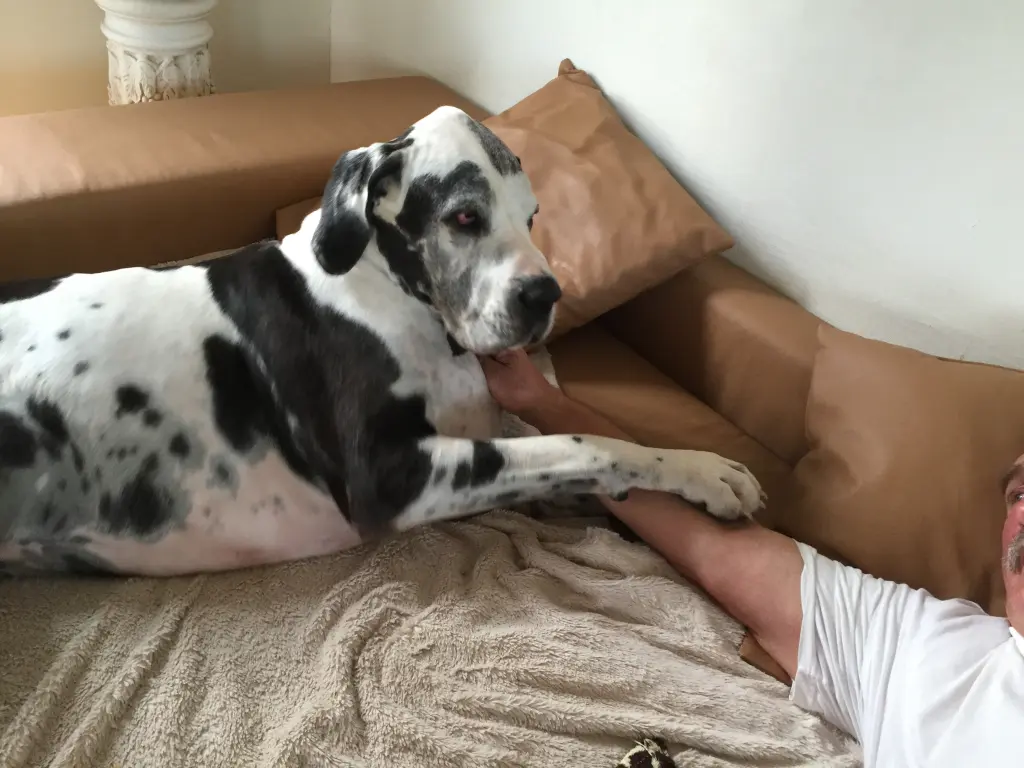 Condolence image of Esther mit Linu