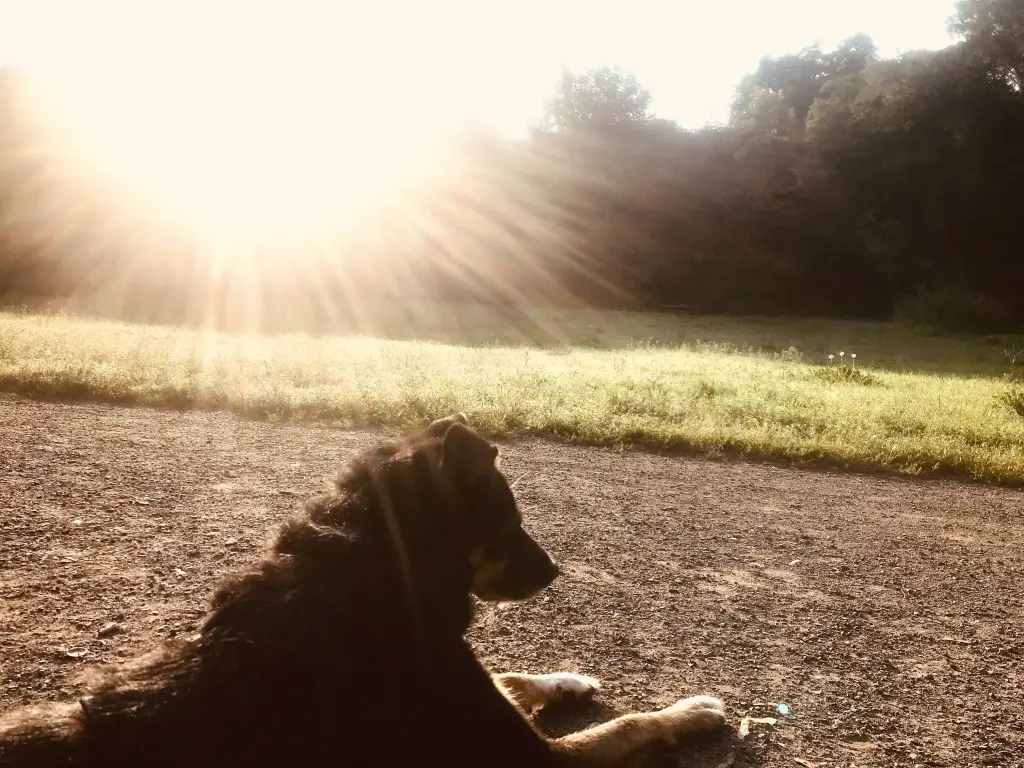 Andachtsbild von Christina
