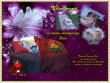 Image from Sina