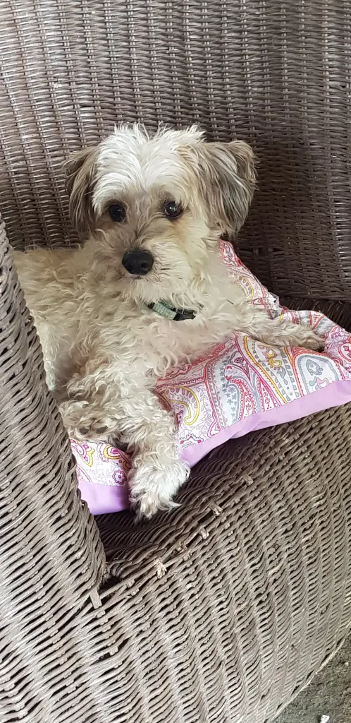 Andachtsbild von Ulla mit Trixi im ❤