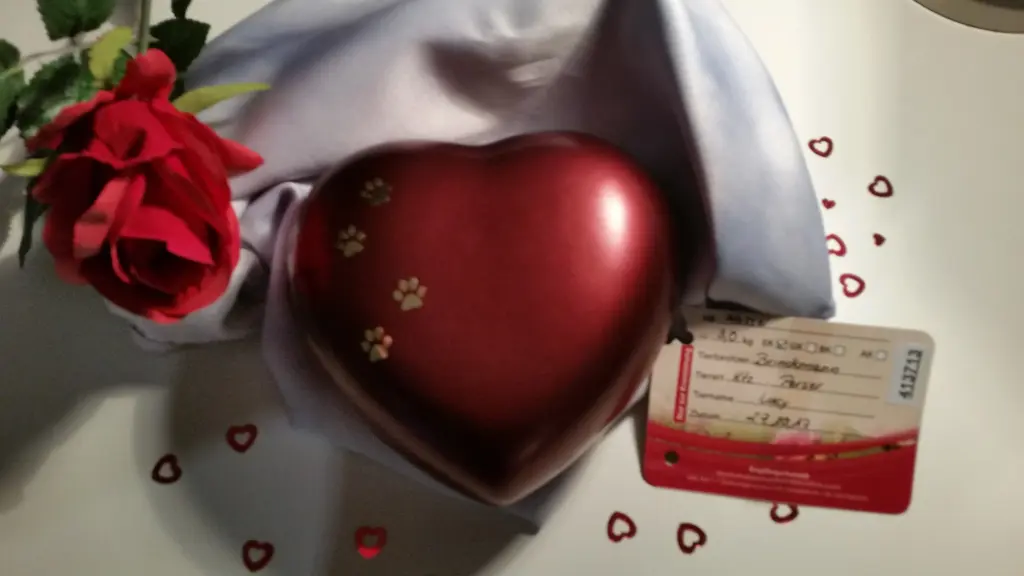 Image from Lucy