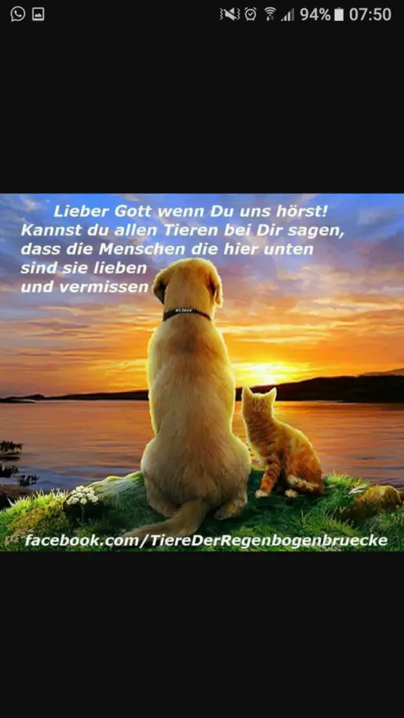 Condolence image of Unbekannt