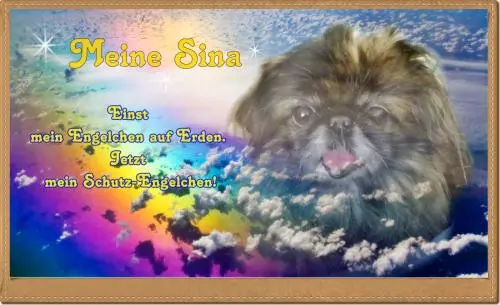 Image from Sina-Mädchen