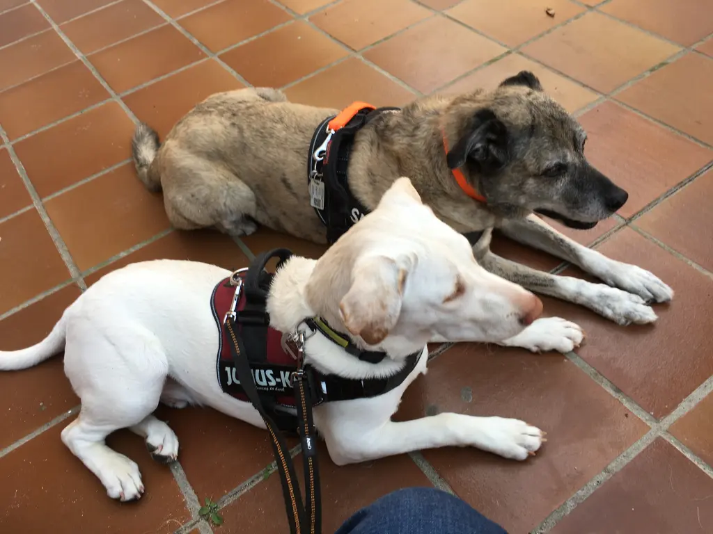 Image from Braso