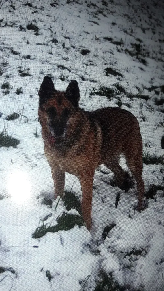 Andachtsbild von Claudia m. TARA im Herzen