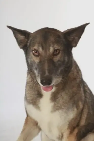 Condolence image of Günter Warnke