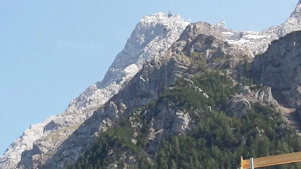 Condolence image of Angelika 