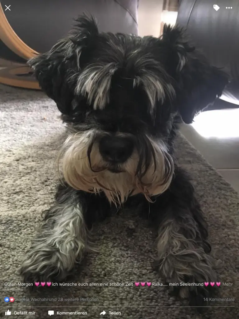 Condolence image of Barbara 