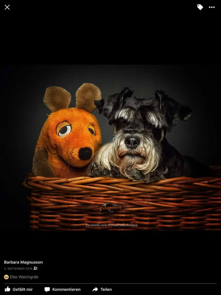 Condolence image of Barbara 