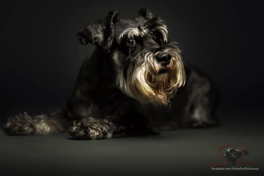 Condolence image of Barbara  Magnusson 