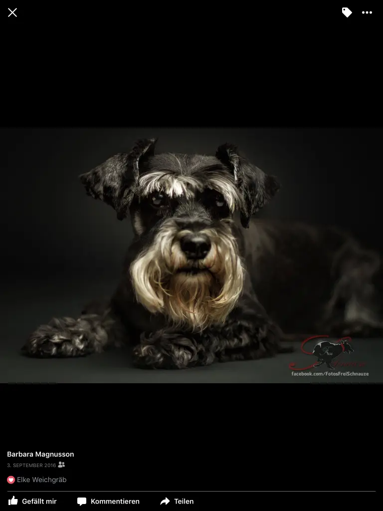 Condolence image of Barbara 