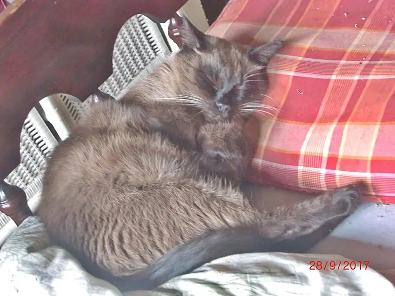 Condolence image of Erika