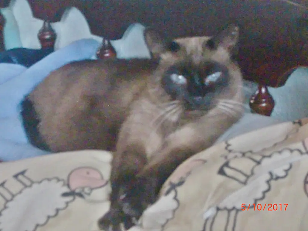 Condolence image of Erika