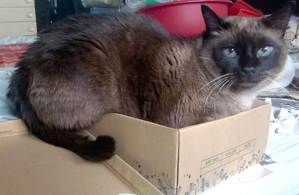 Condolence image of Erika