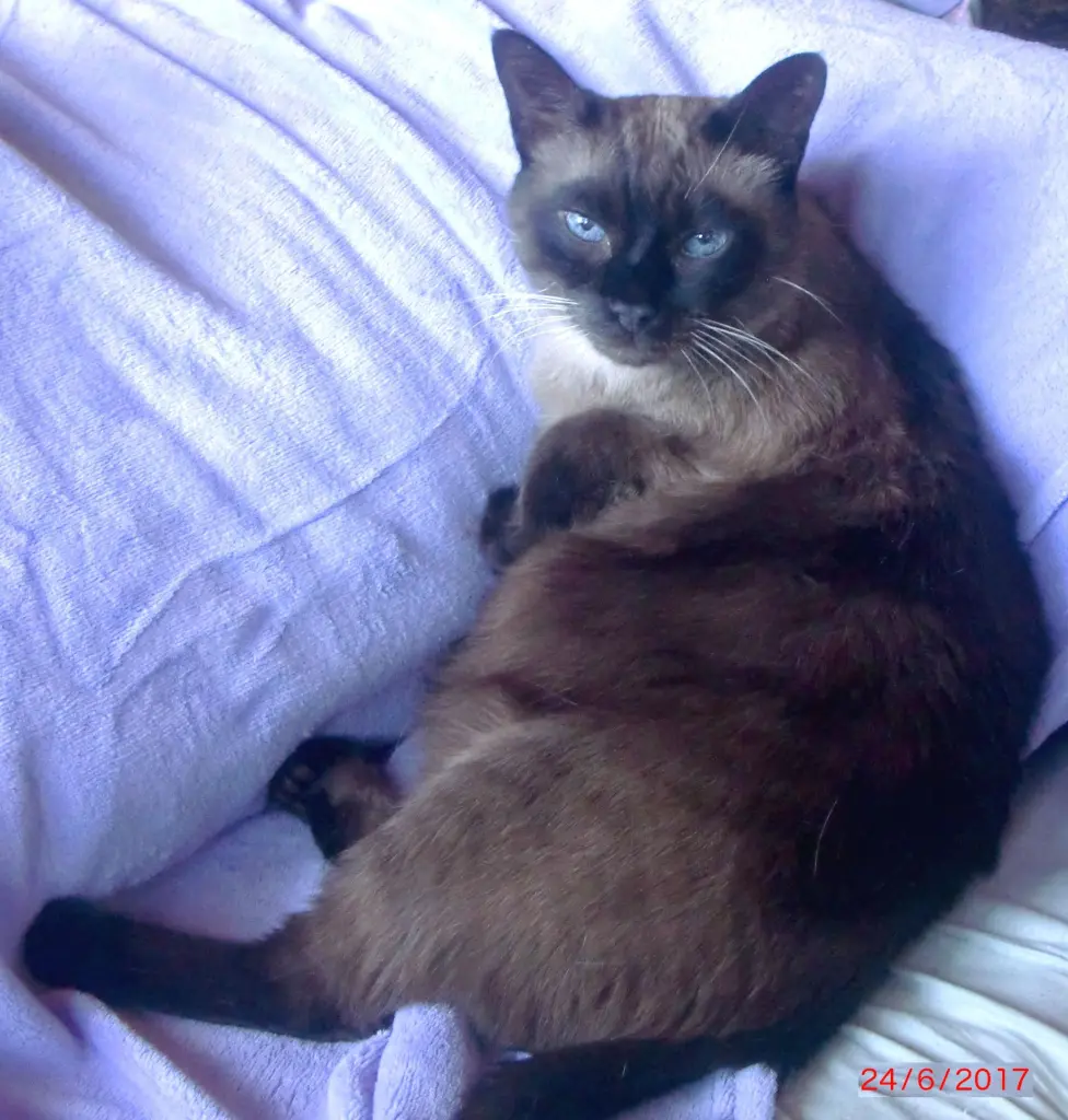 Condolence image of Erika