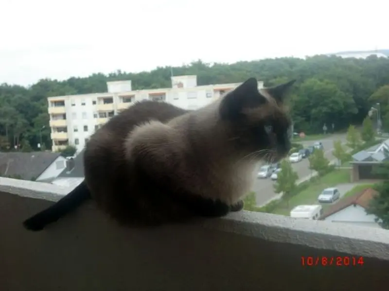 Image from Angel