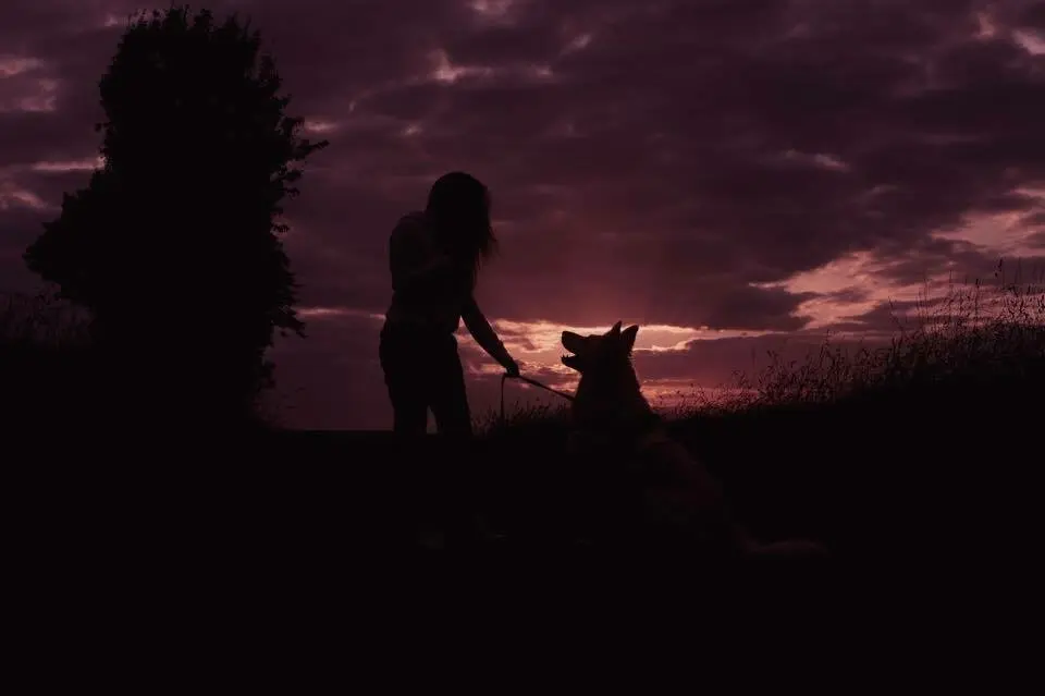 Image from Laika