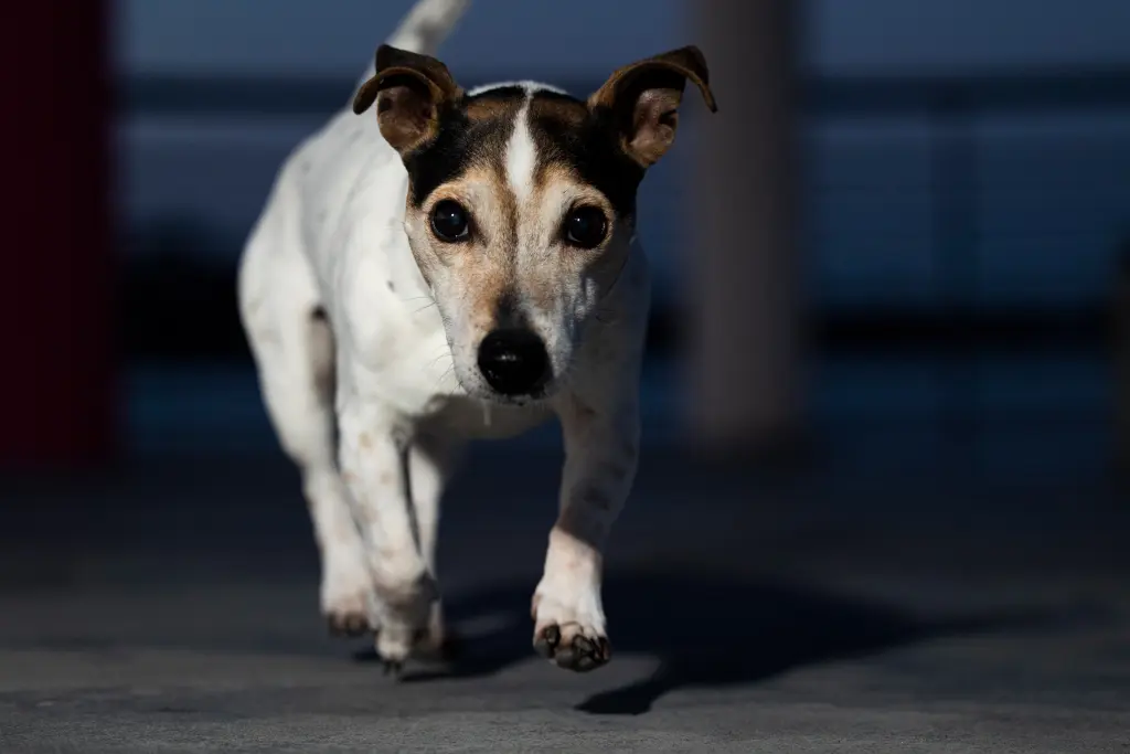 Andachtsbild von Manuela