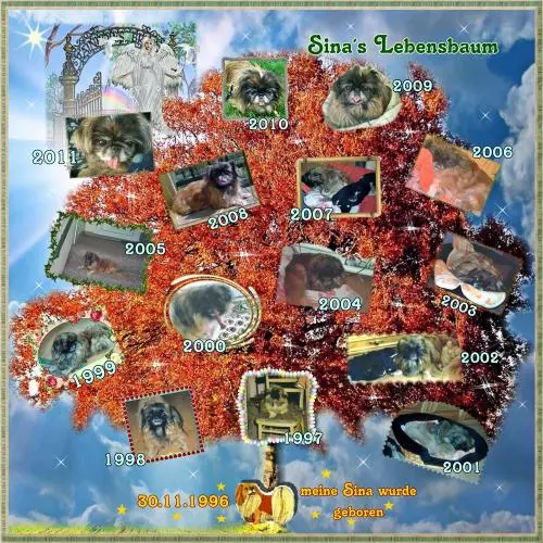 Image from mein süßes Sina-Mädchen
