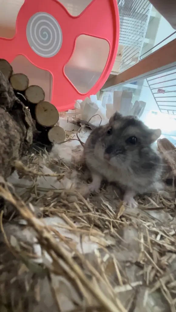 Andachtsbild von Milla mit Murphy im Herzen ♥️