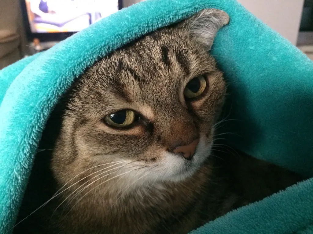 Andachtsbild von Doris