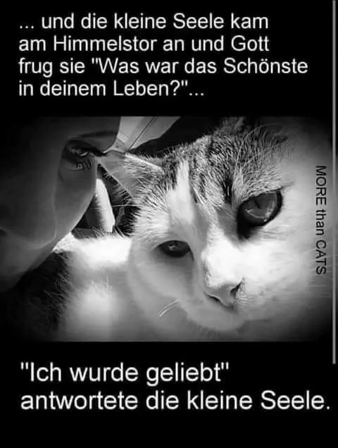 Condolence image of Jessica